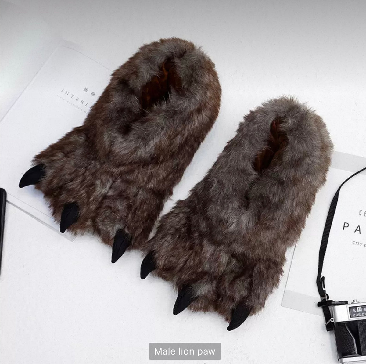 Male Lion Paw