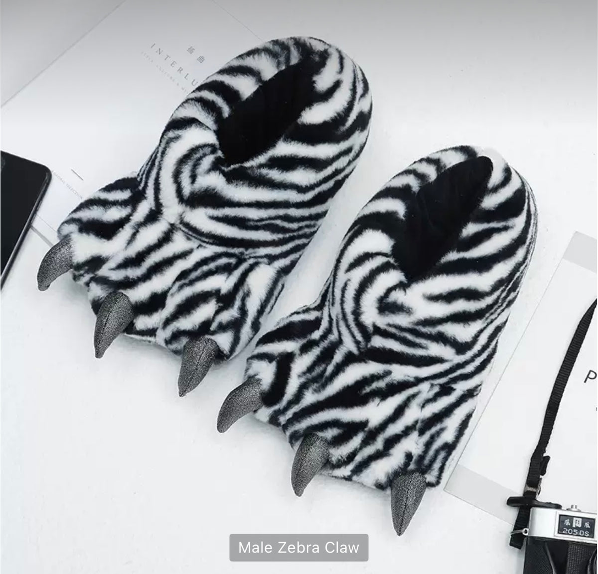 Male Lion Paw